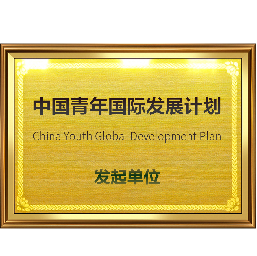 中国青年国际发展计划