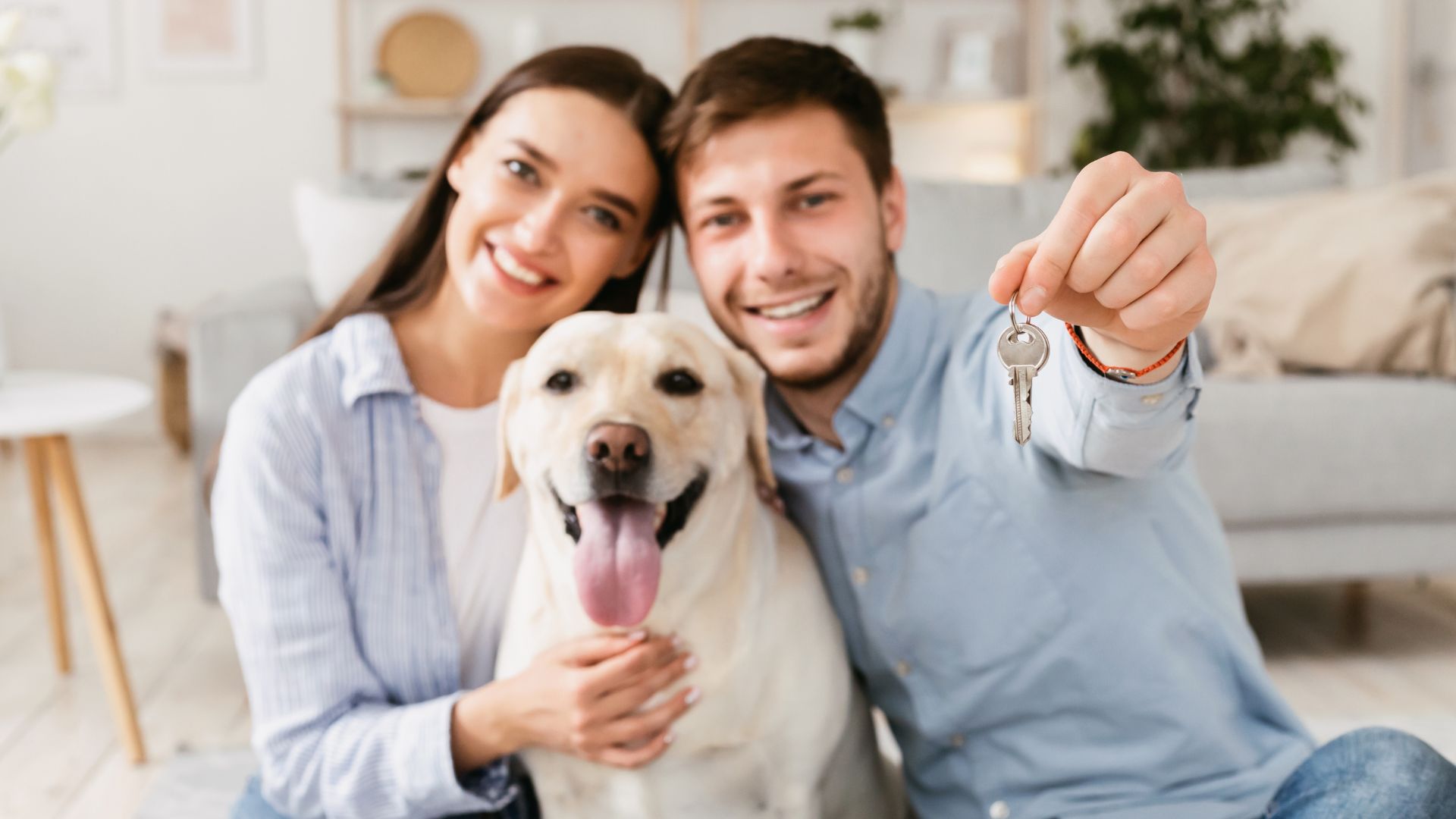How to Choose the Right Estate Agent to Sell Your Home