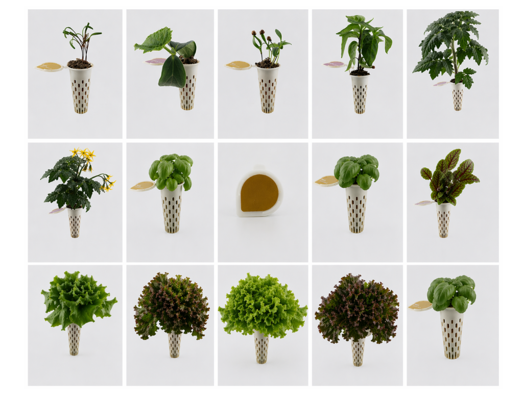 Product varieties grown at We Grow Aces™