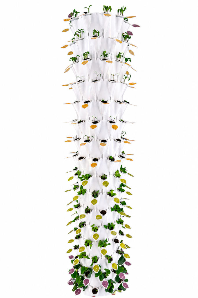 Water-Based Nutrient Delivery