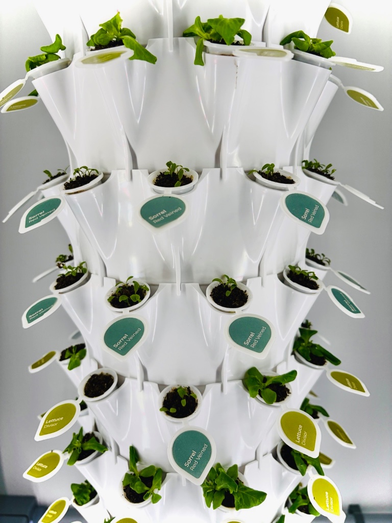 Hydroponic tower with labeled seed pods and growing plants