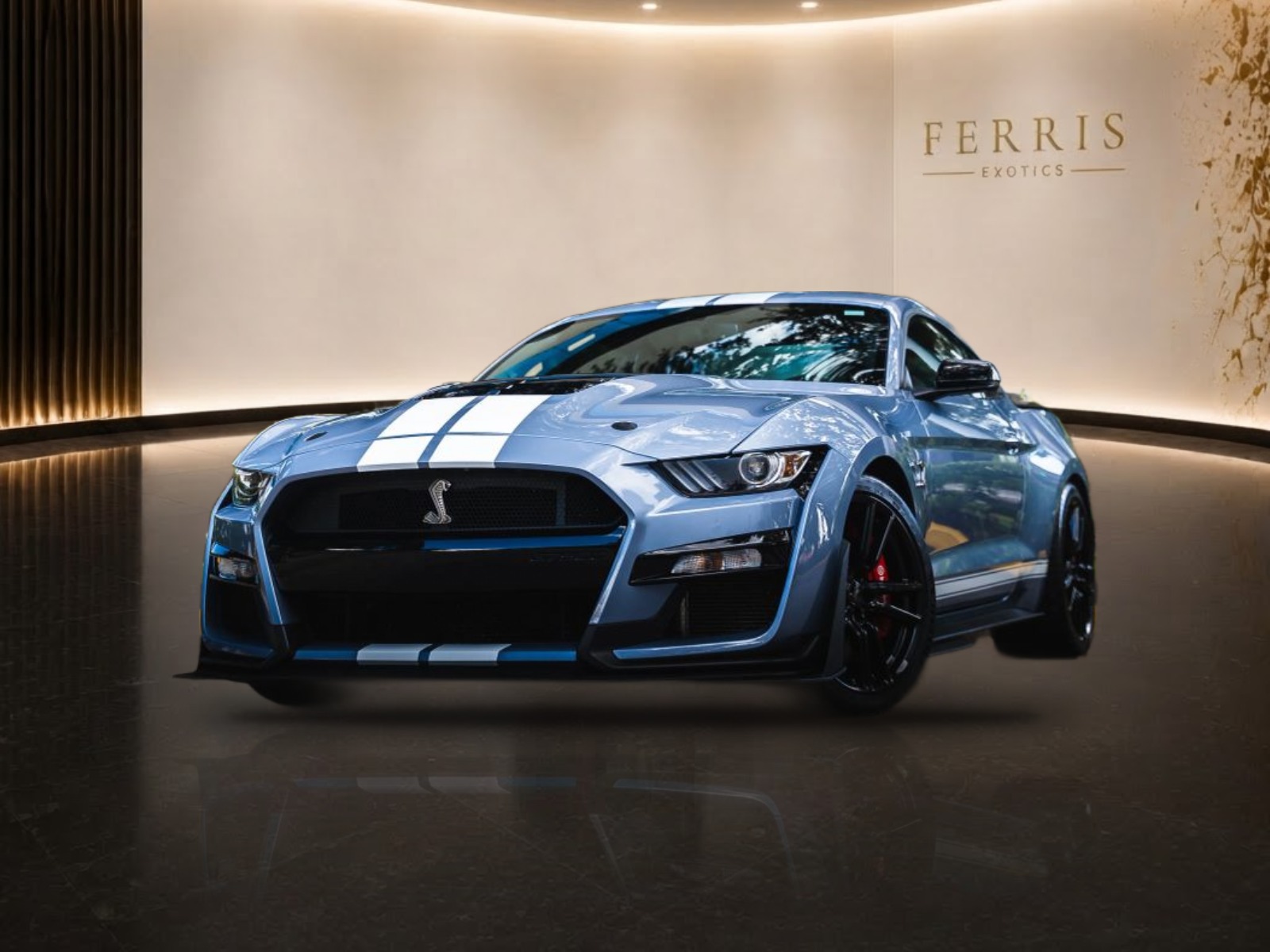 2022 Ford Mustang Shelby GT500