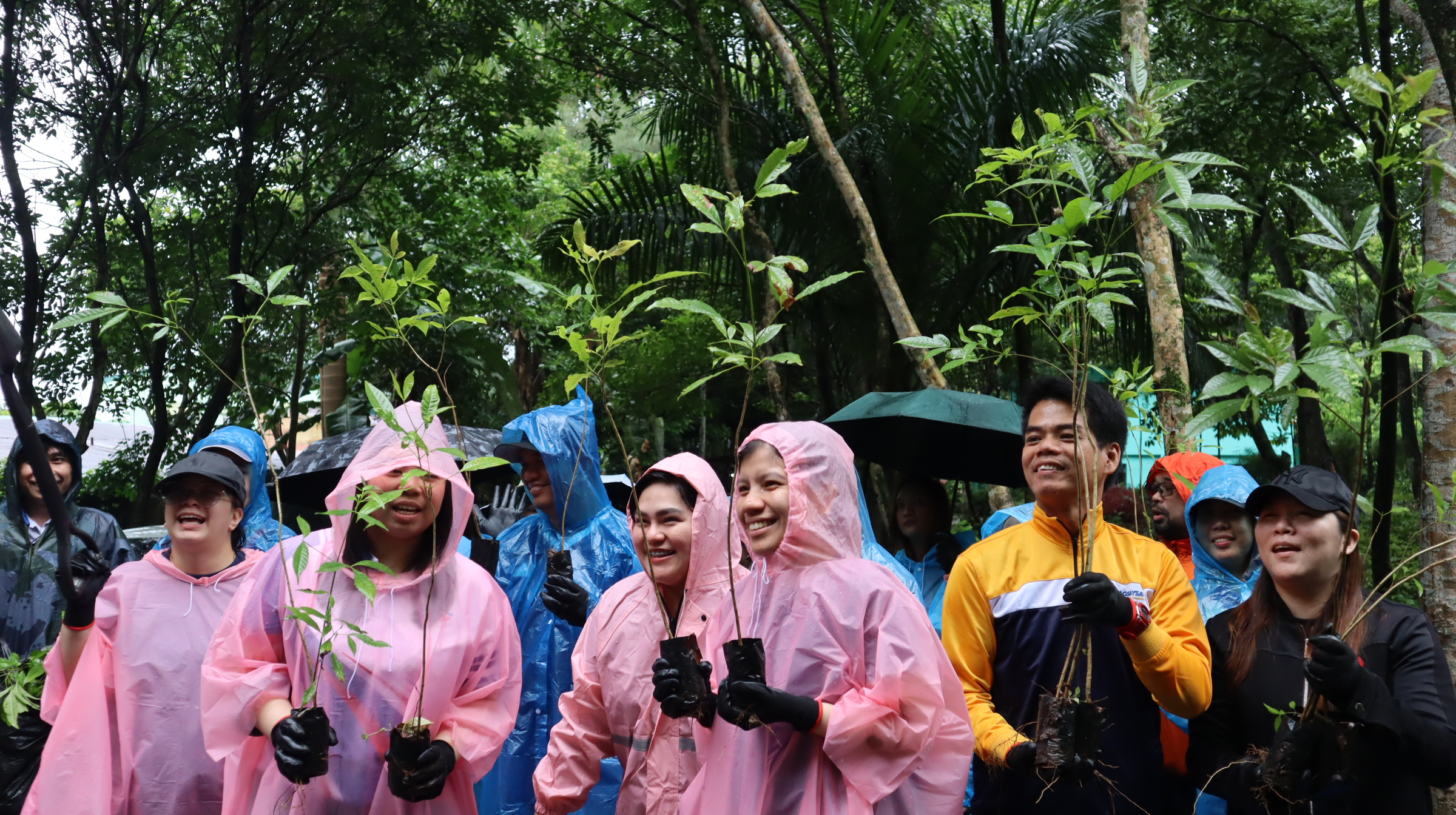 OLSI Takes Part in the Million Trees Initiative