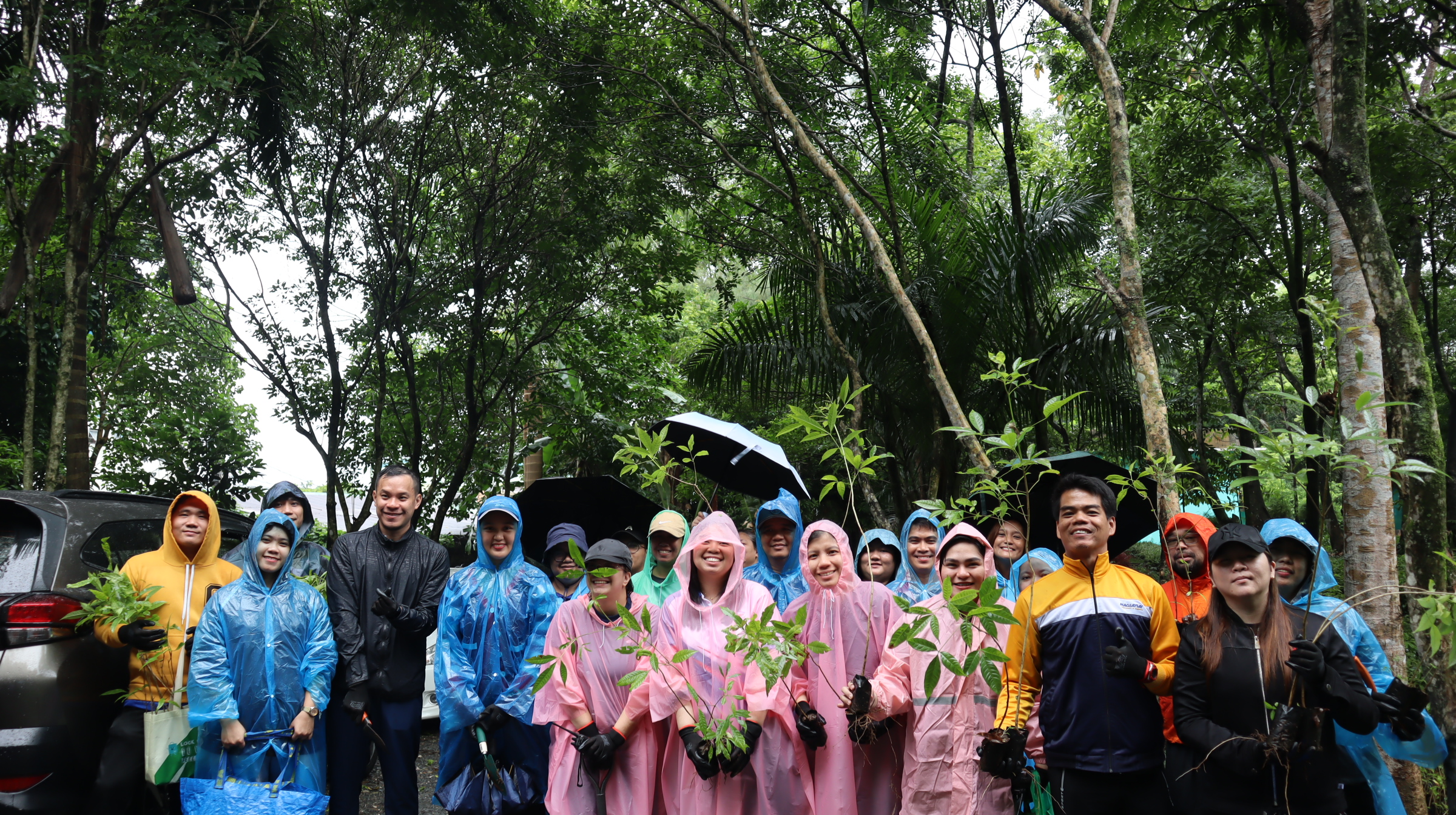OLSI team holds native tree seedlings