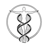 Quantum Body Method logo