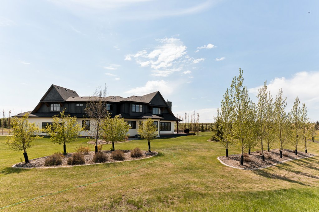 Estate Rear