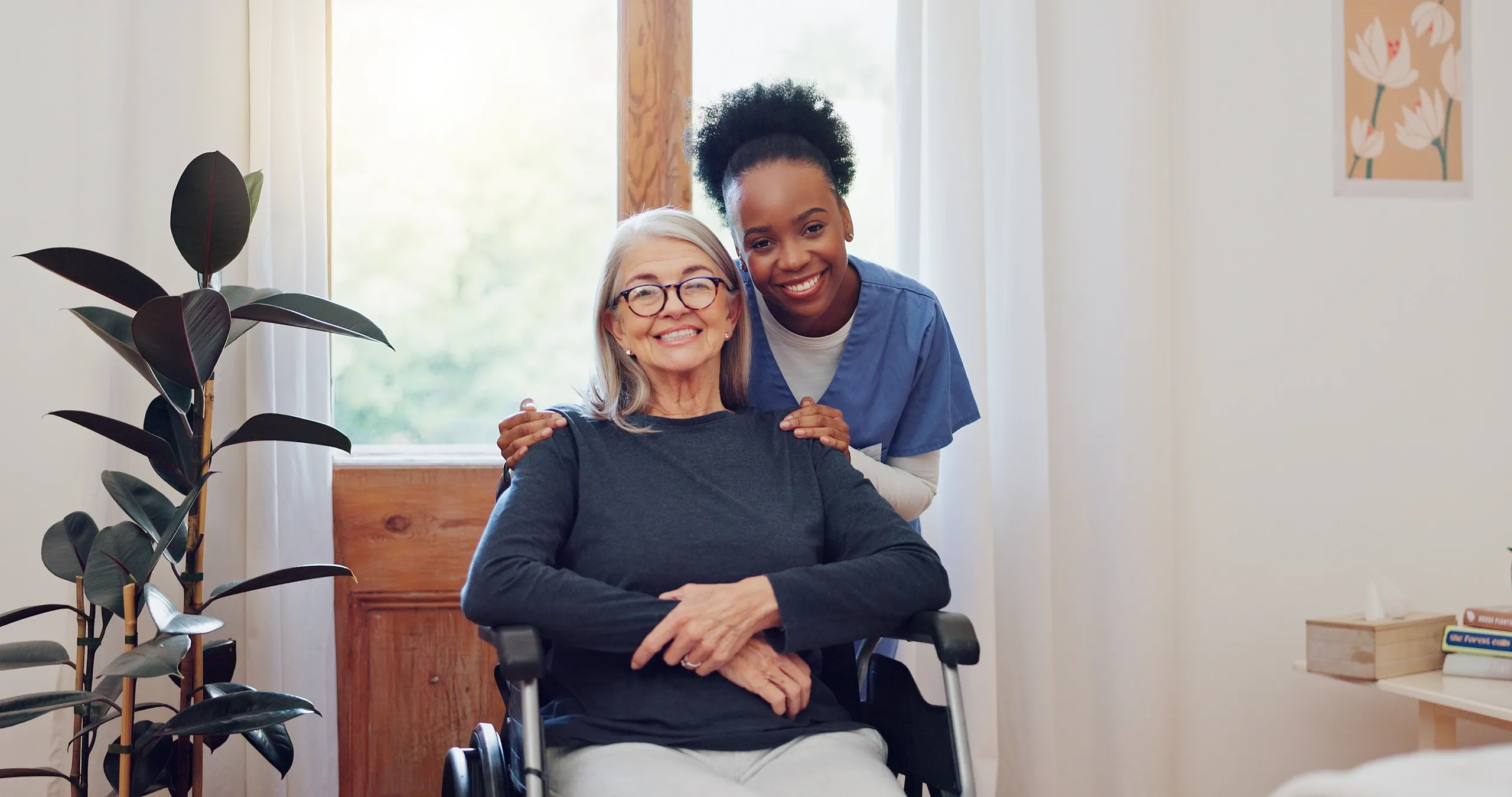 Professional home care