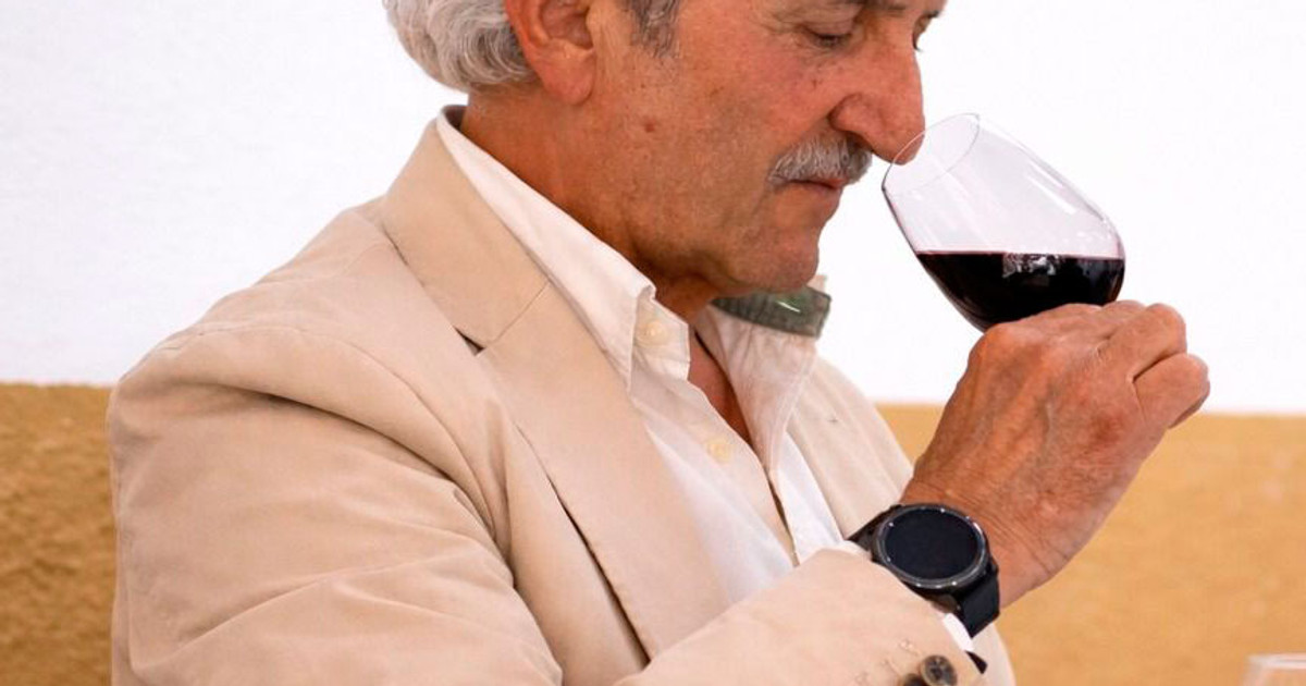 Aula Española del Vino