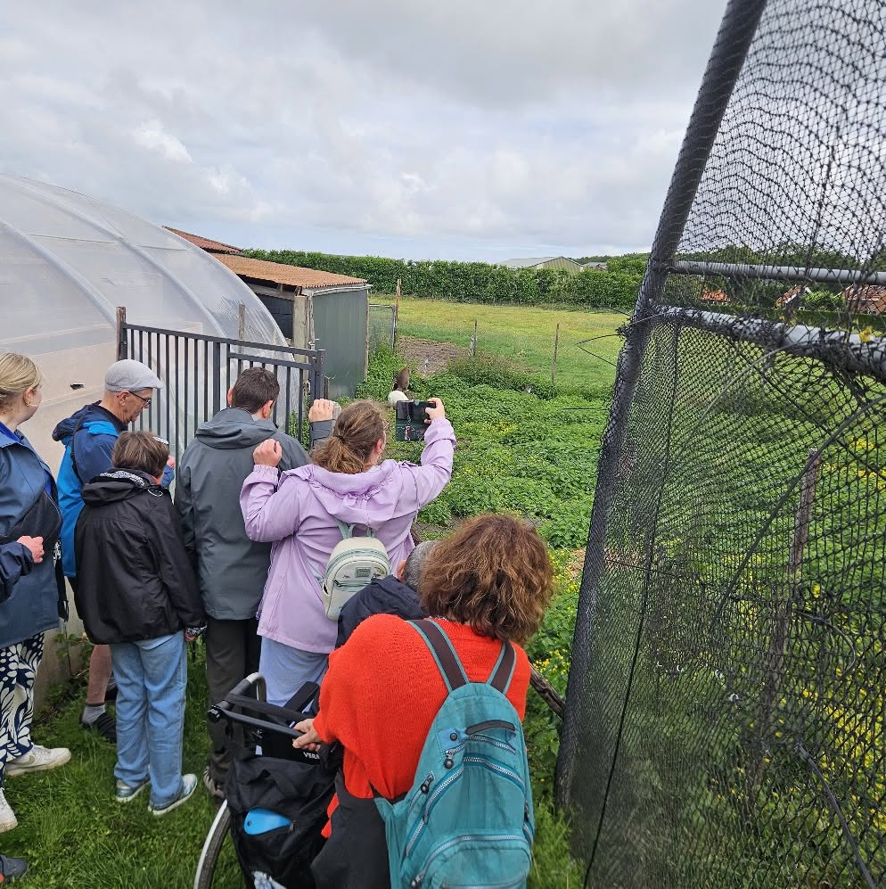 Rondleiding inclusief boerenlunch – 12 juni foto 2