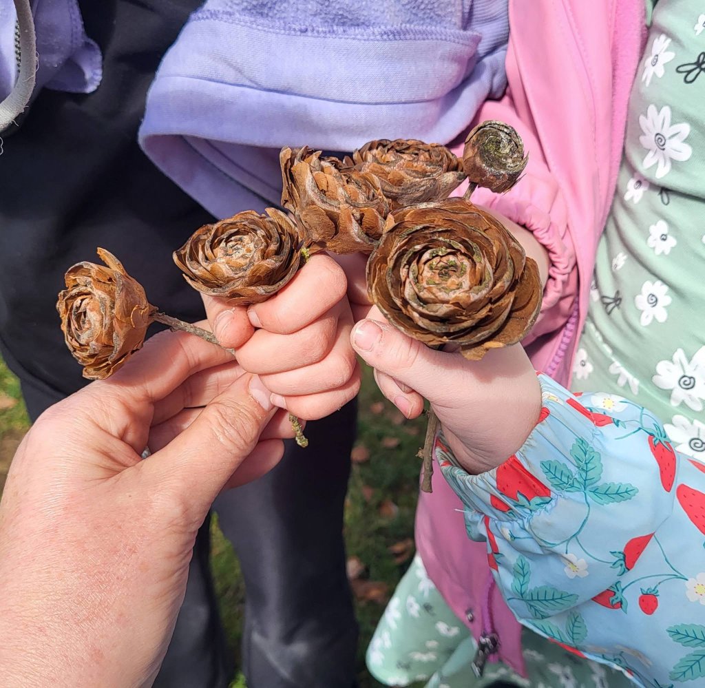 Children and educator holding pine cones found on a nature walk