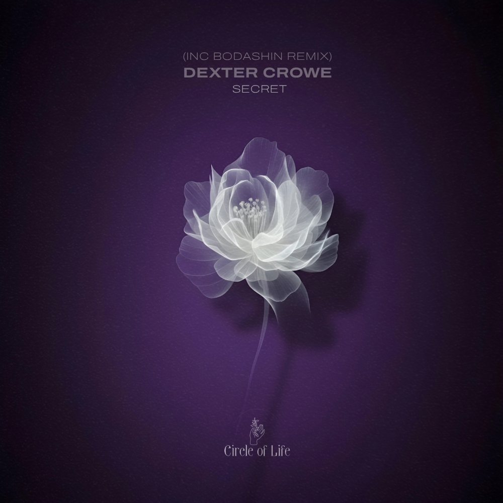 SECRET (REMIX) album artwork