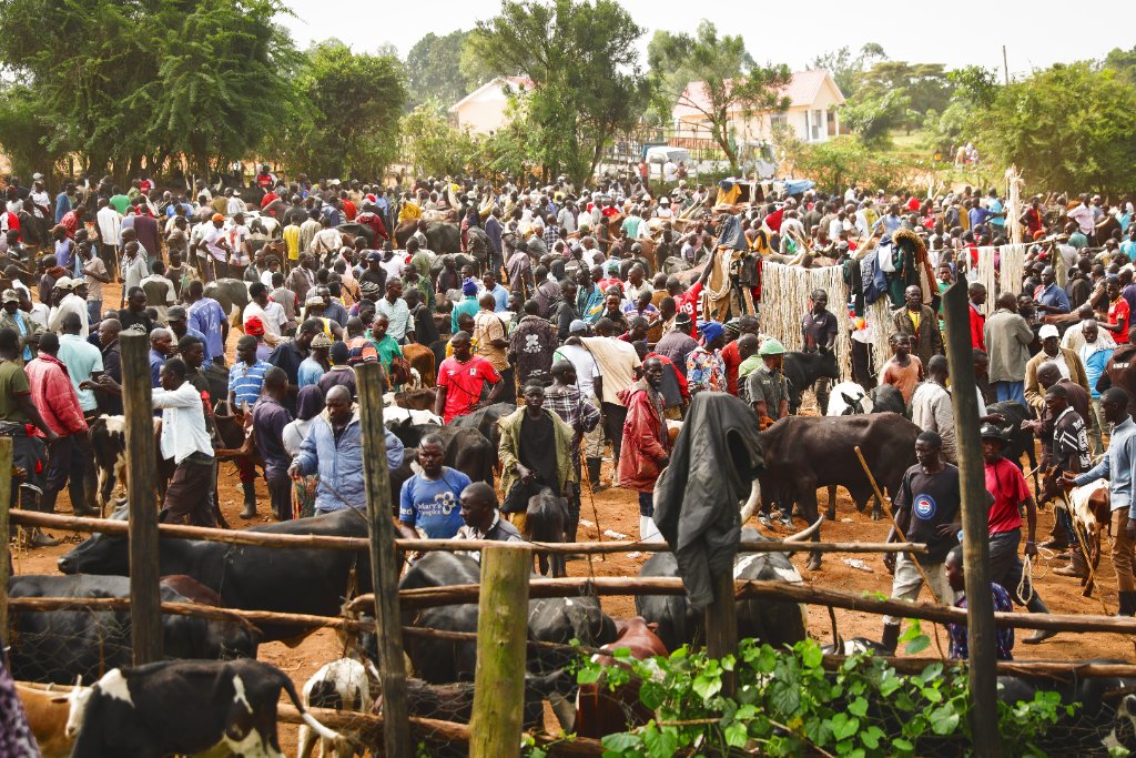Mubende District Uganda
