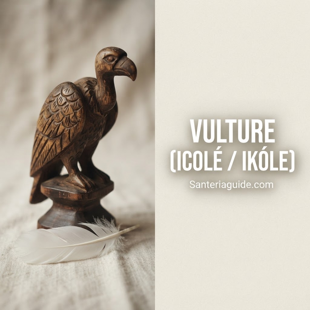 Vulture (Icolé / Ikóle) — Santeriaguide.com