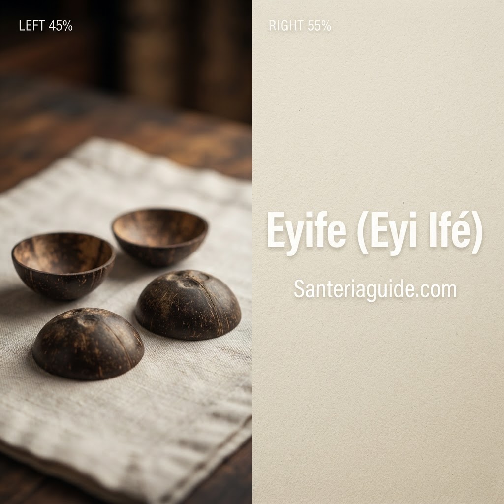 Eyife (Eyi Ifé) — Santeriaguide.com