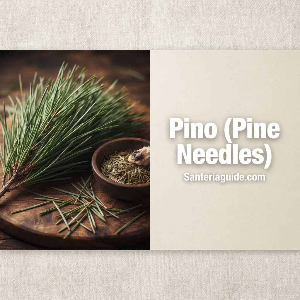 Pino (Pine Needles) — Santeriaguide.com