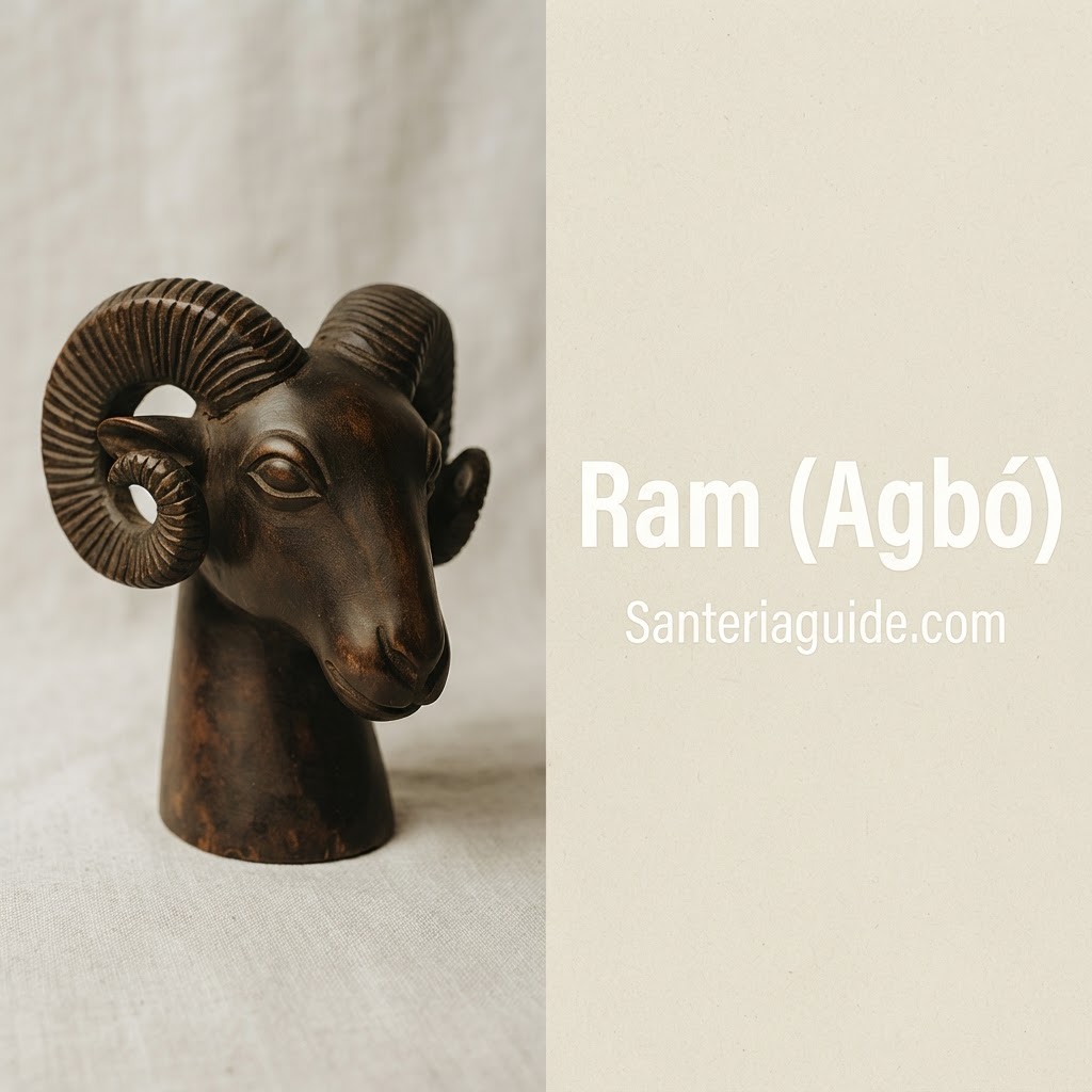 Ram (Agbó) — Santeriaguide.com