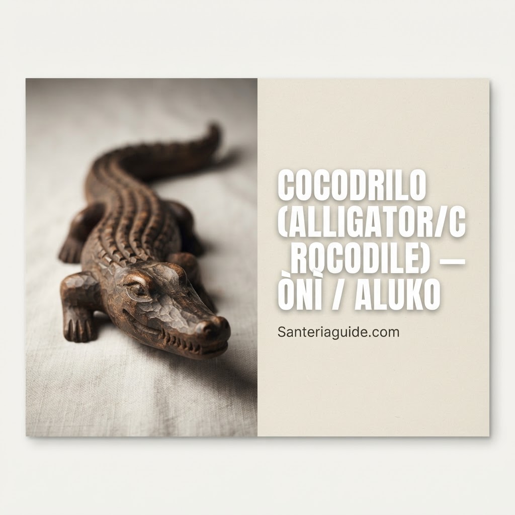 Cocodrilo (Alligator/Crocodile) — Ònì / Aluko — Santeriaguide.com