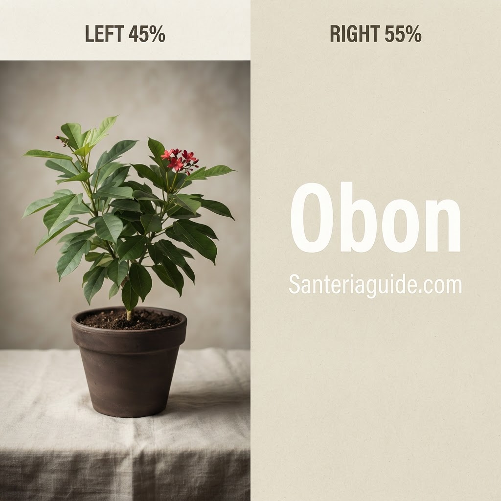 Obon — Santeriaguide.com