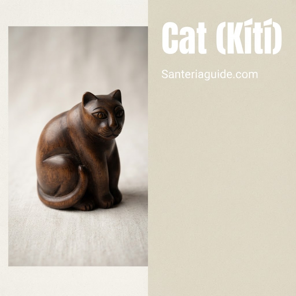 Cat (Kítí) — Santeriaguide.com