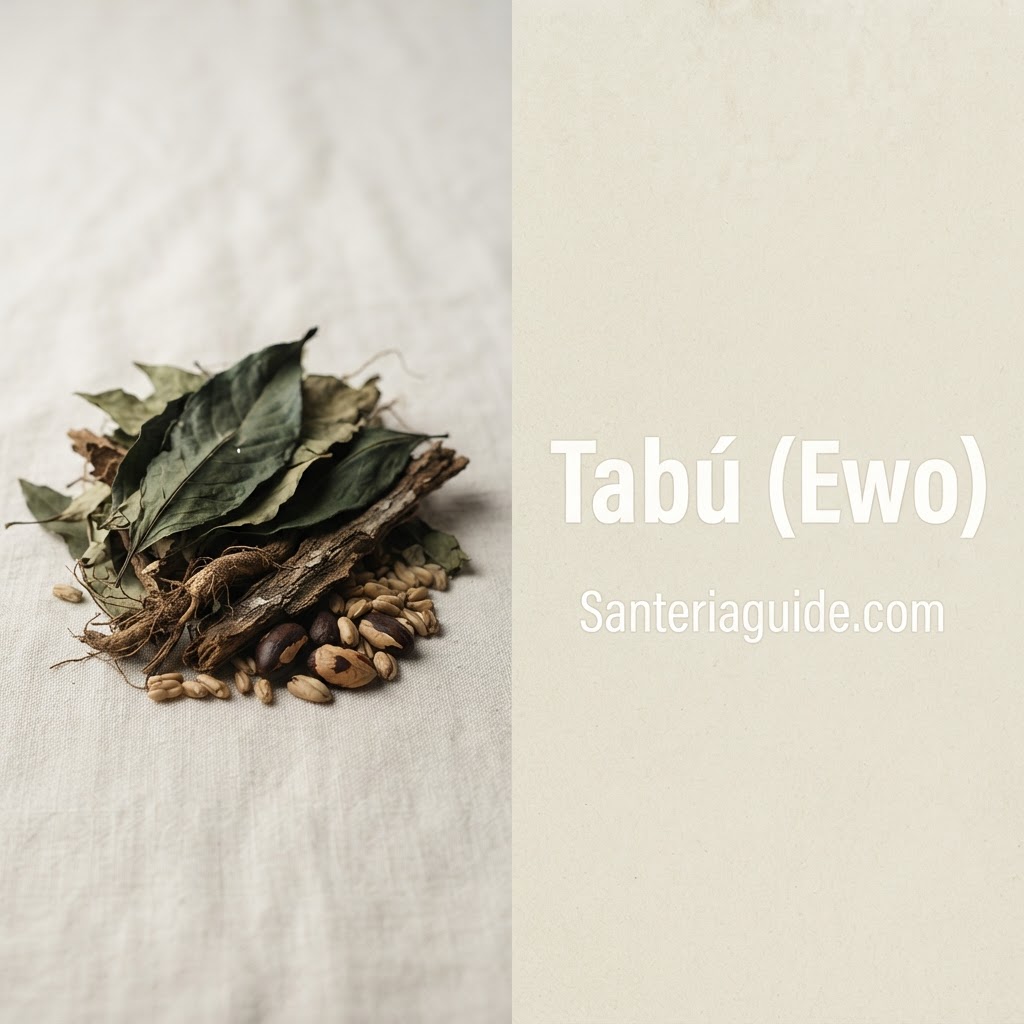 Tabú (Ewo) — Santeriaguide.com