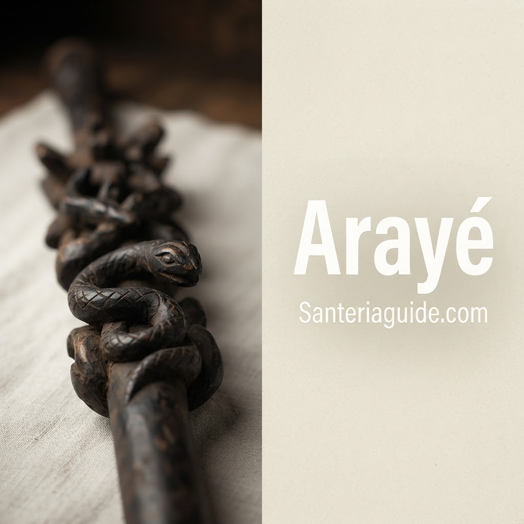 Arayé — Santeriaguide.com