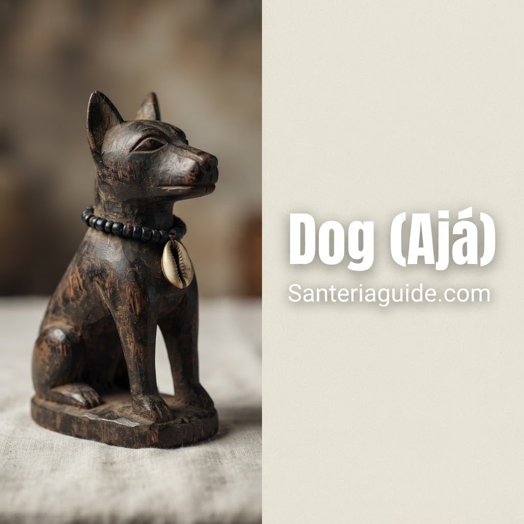 Dog (Ajá) — Santeriaguide.com