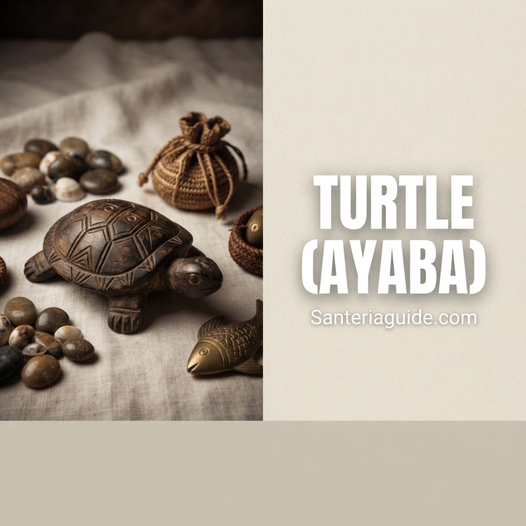 Turtle (Ayaba) — Santeriaguide.com