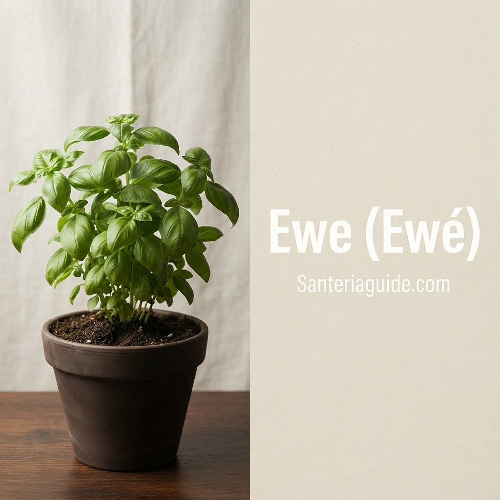 Ewe (Ewé) — Santeriaguide.com