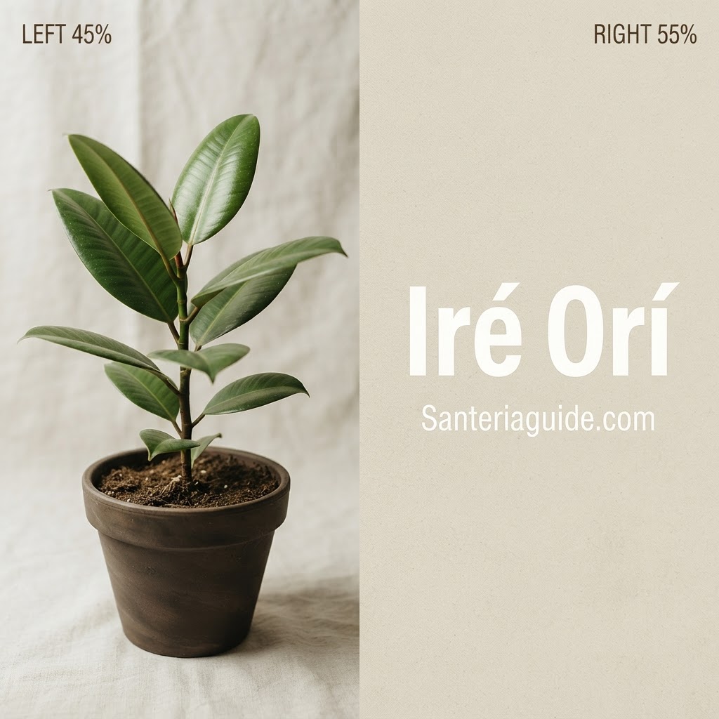 Iré Orí — Santeriaguide.com
