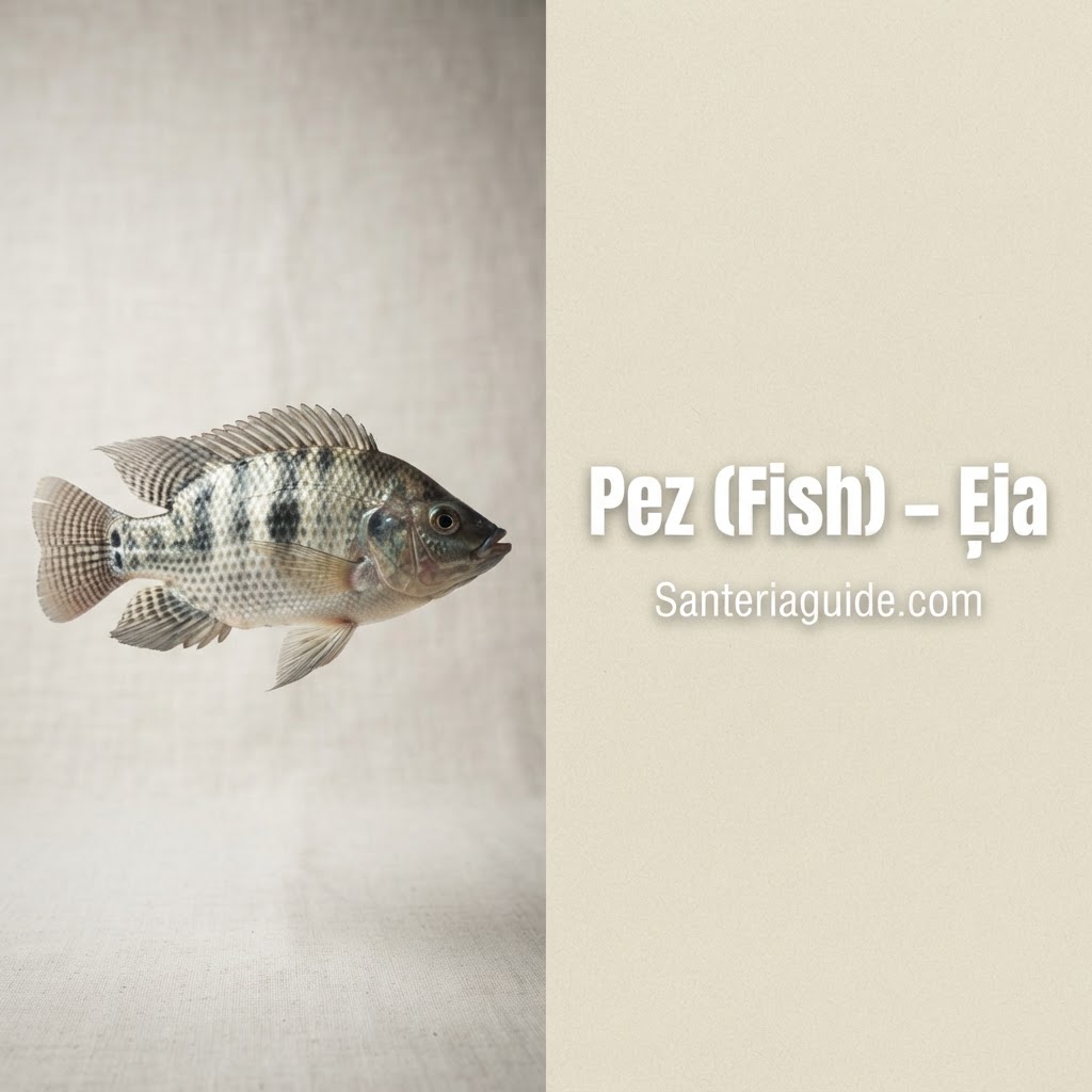 Pez (Fish) – Ẹja — Santeriaguide.com