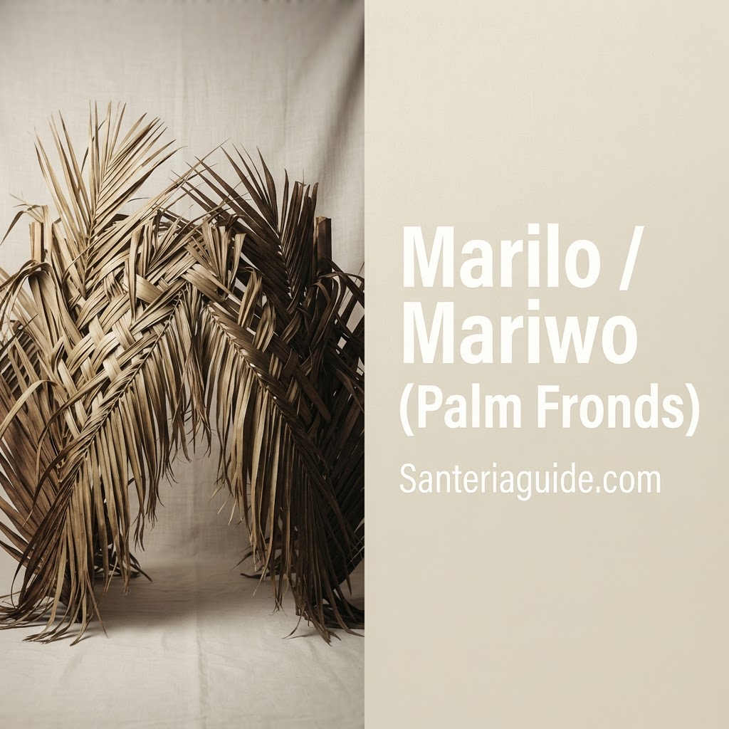 Marilo / Mariwo (Palm Fronds) — Santeriaguide.com