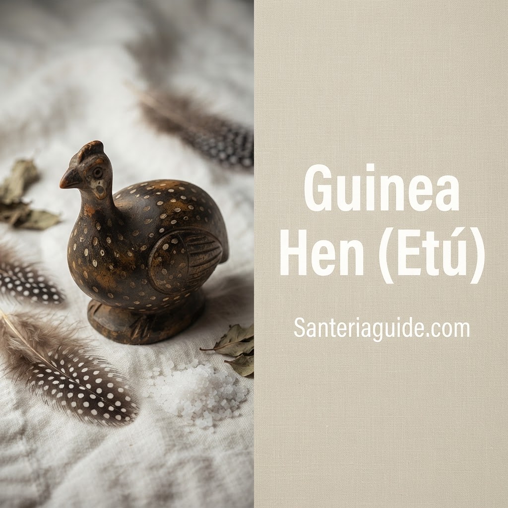 Guinea Hen (Etú) — Santeriaguide.com