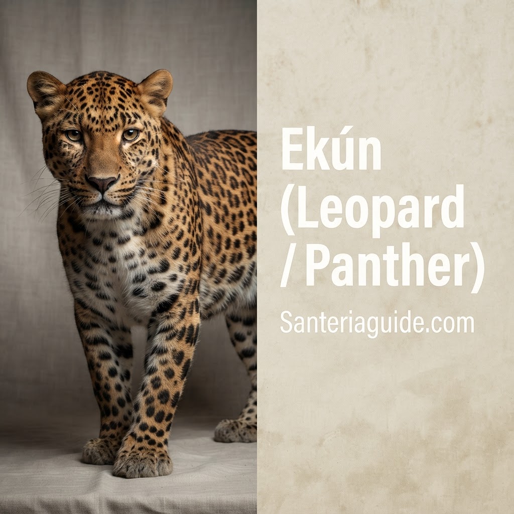 Ekún (Leopard / Panther) — Santeriaguide.com