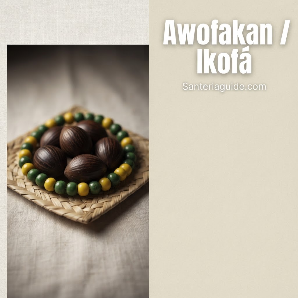 Awofakan / Ikofá — Santeriaguide.com