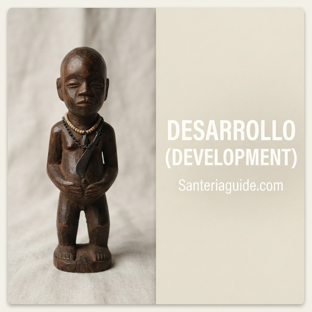 Desarrollo (Development) — Santeriaguide.com