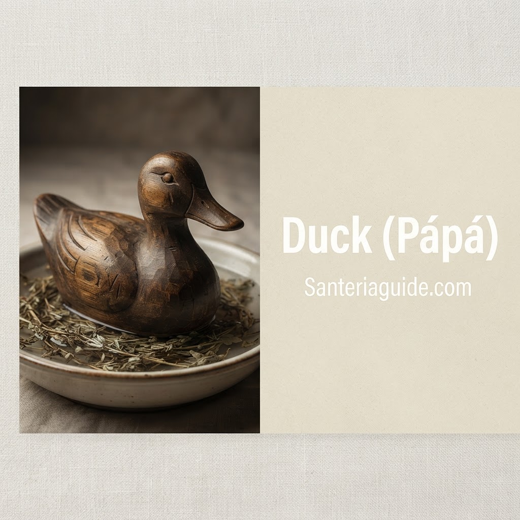 Duck (Pápá) — Santeriaguide.com