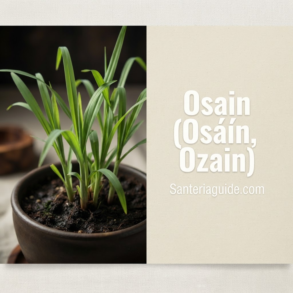 Osain (Osáín, Ozain) — Santeriaguide.com