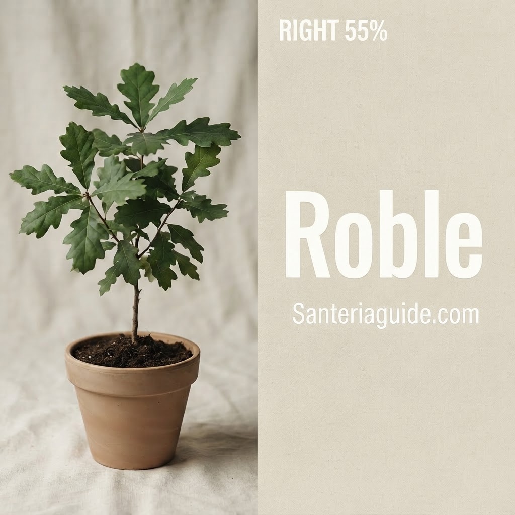 Roble — Santeriaguide.com
