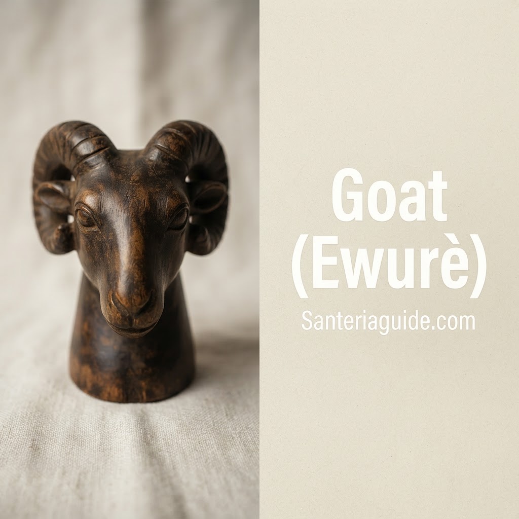 Goat (Ewurè) — Santeriaguide.com