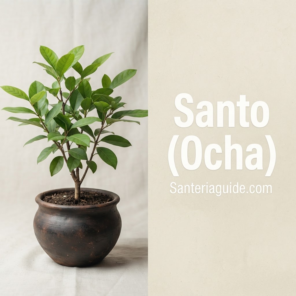 Santo (Ocha) — Santeriaguide.com