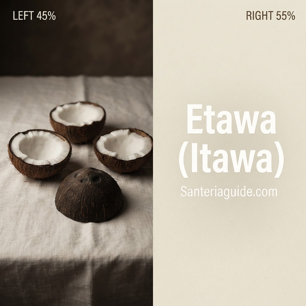 Etawa (Itawa) — Santeriaguide.com
