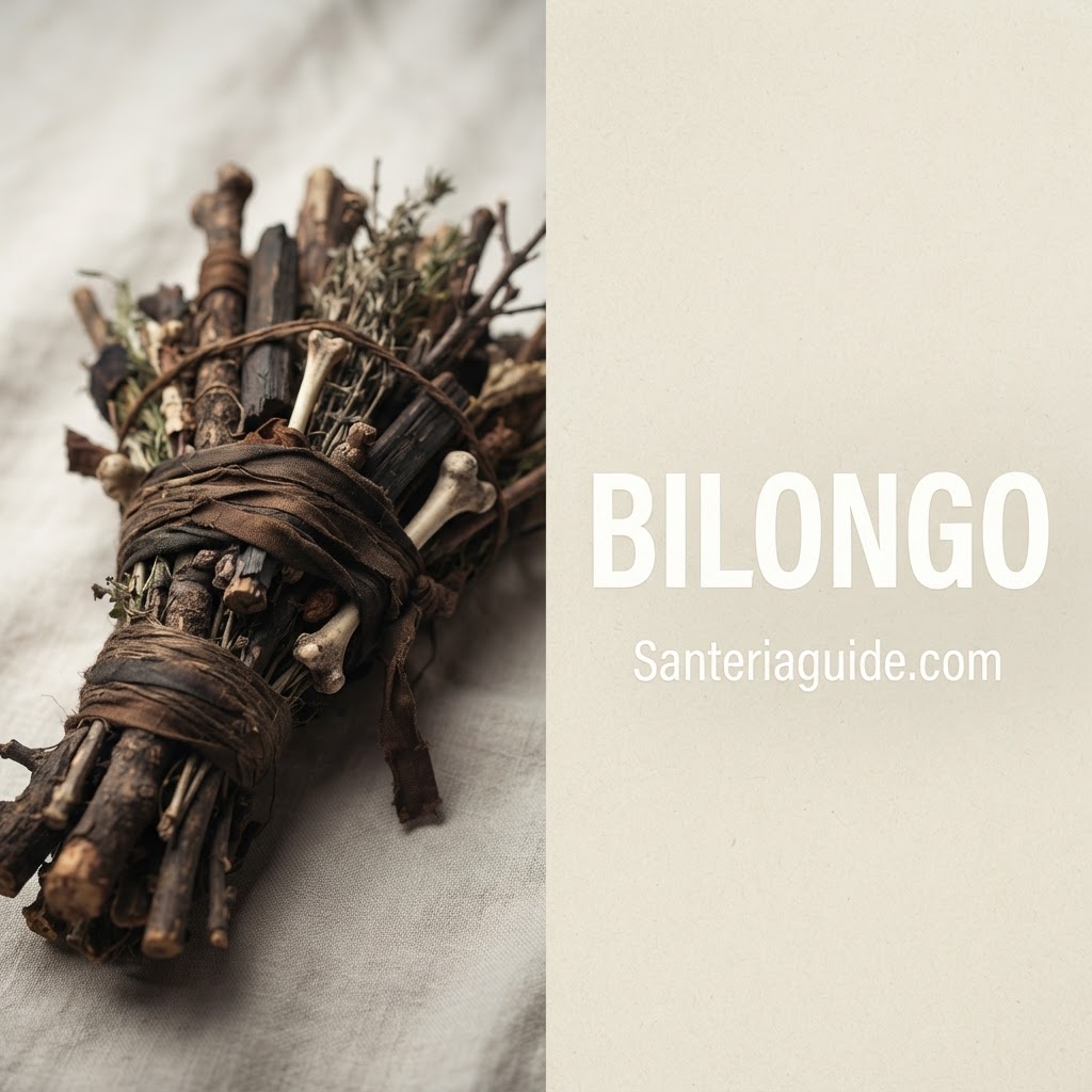 Bilongo — Santeriaguide.com