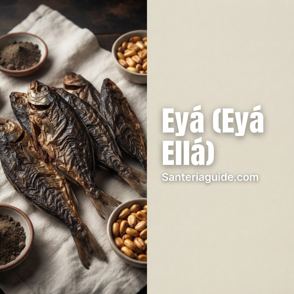 Eyá (Eyá Ellá) — Santeriaguide.com