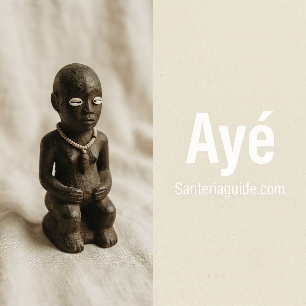 Ayé — Santeriaguide.com