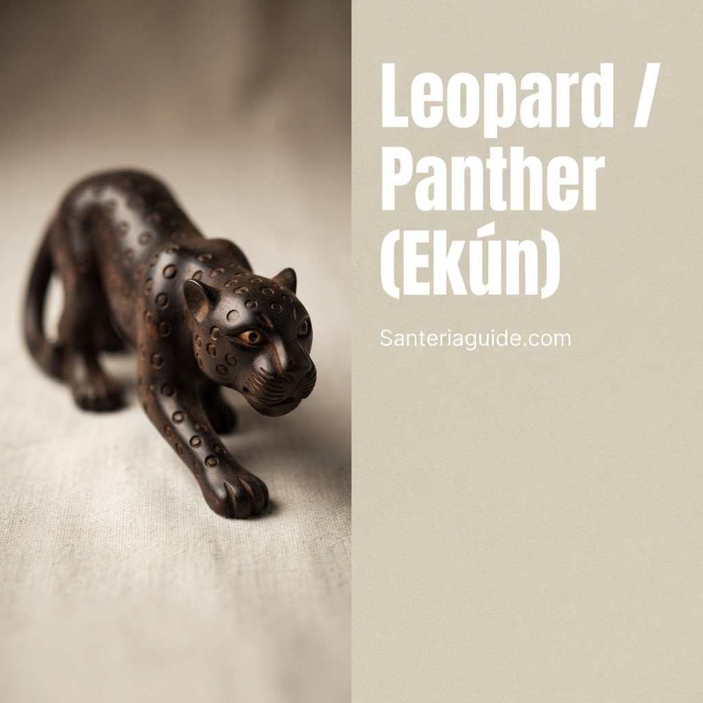 Leopard / Panther (Ekún) — Santeriaguide.com