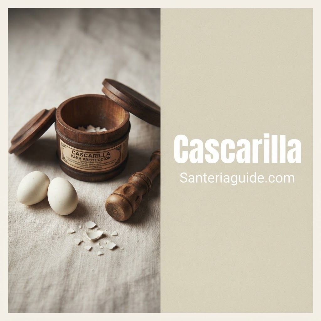 Cascarilla — Santeriaguide.com