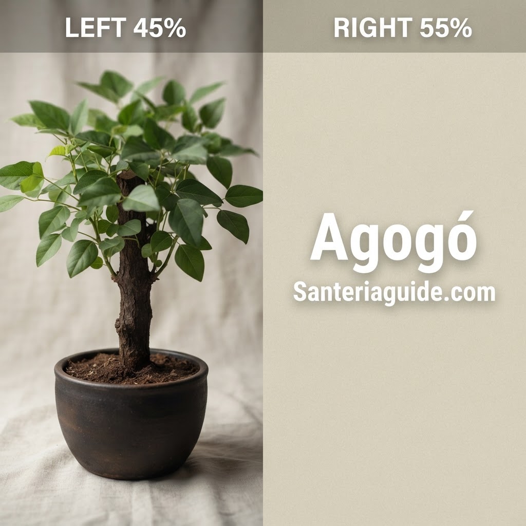 Agogó — Santeriaguide.com