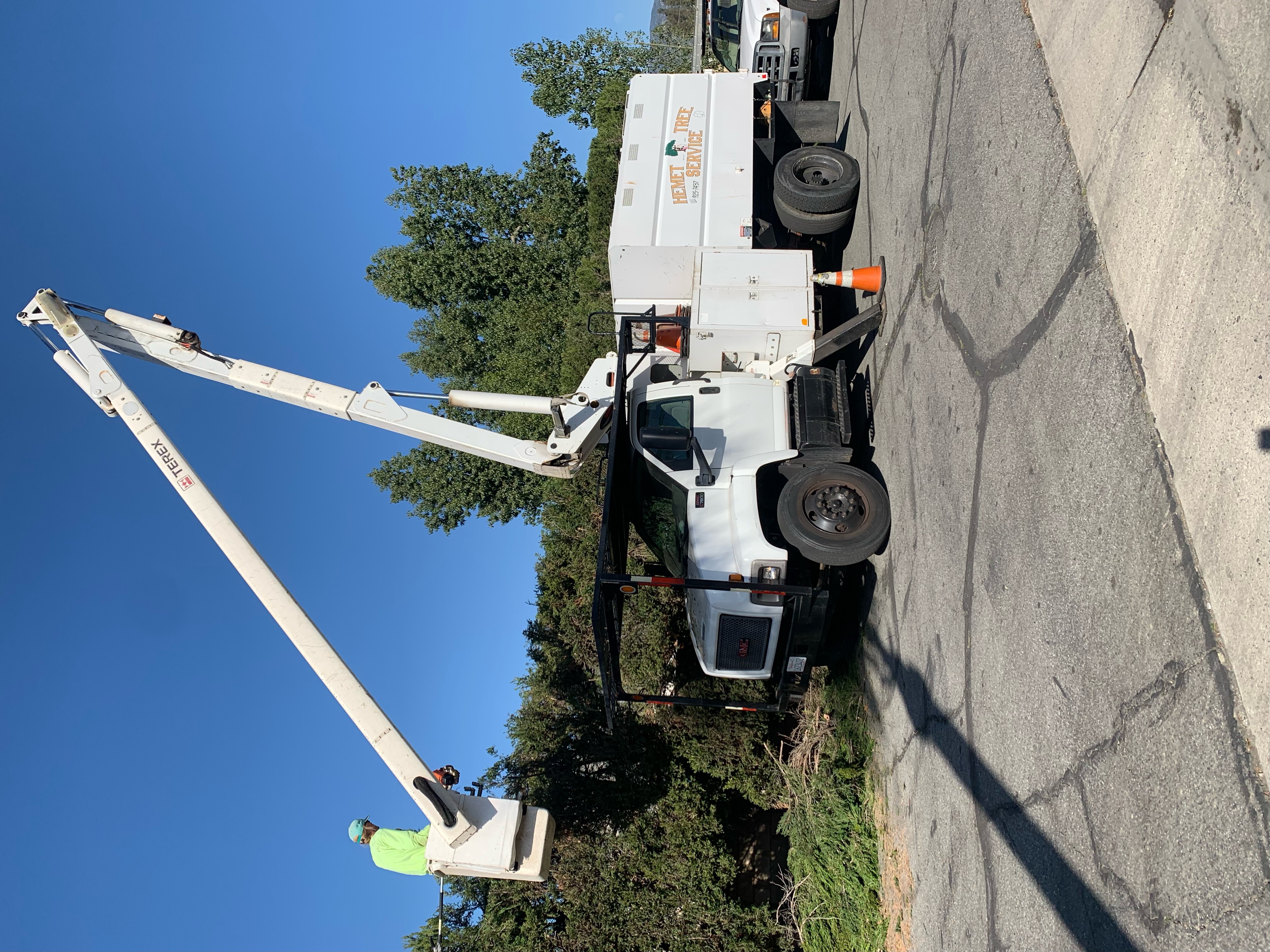 Bucket truck trimming a tall cypress hedge