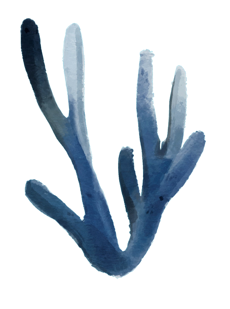 Coral