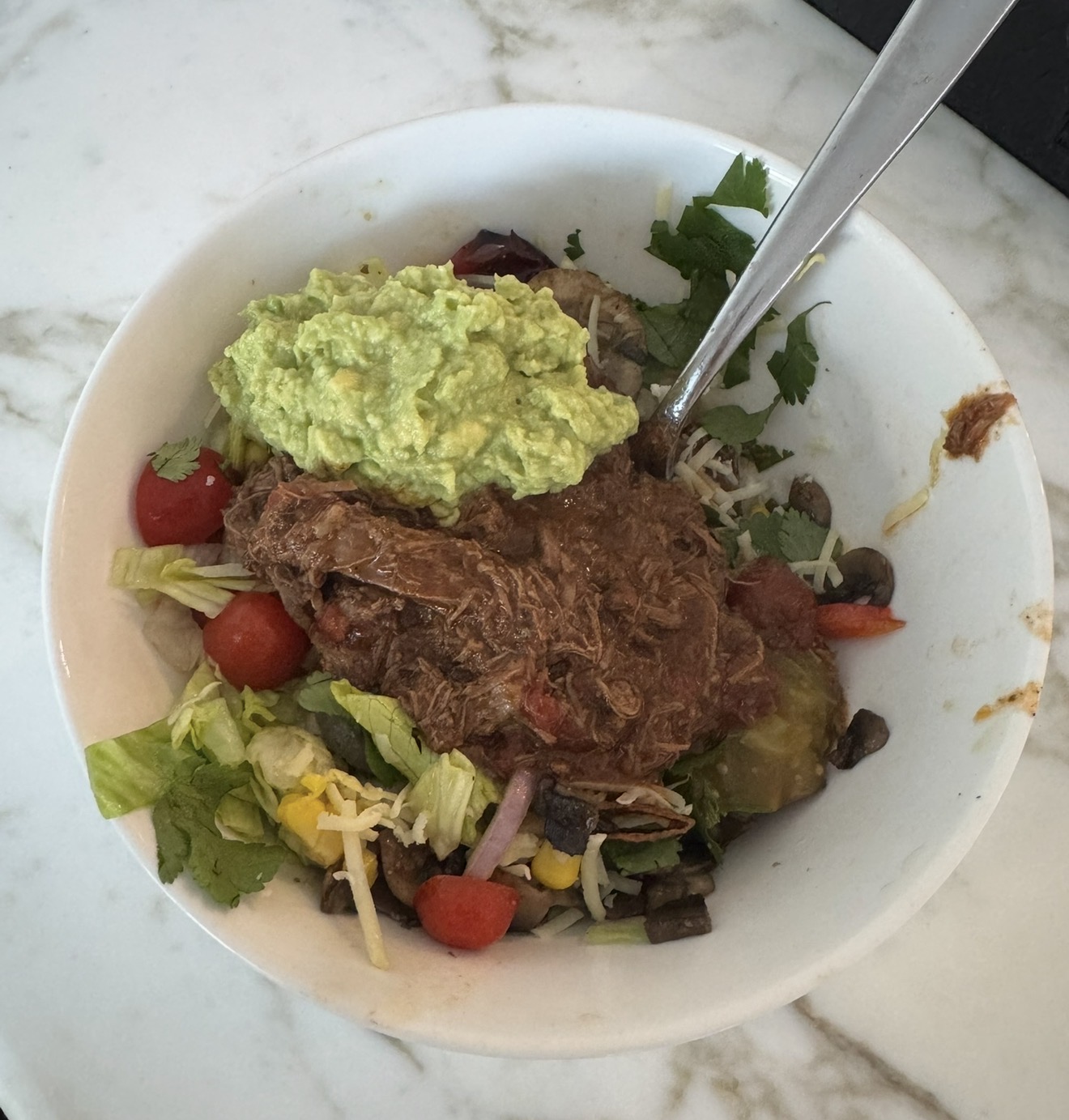 Mexican Shredded Beef